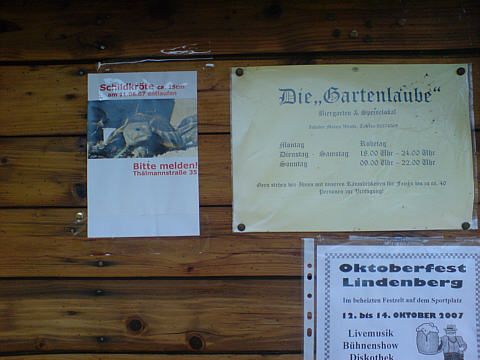 Schildkr�te entlaufen!